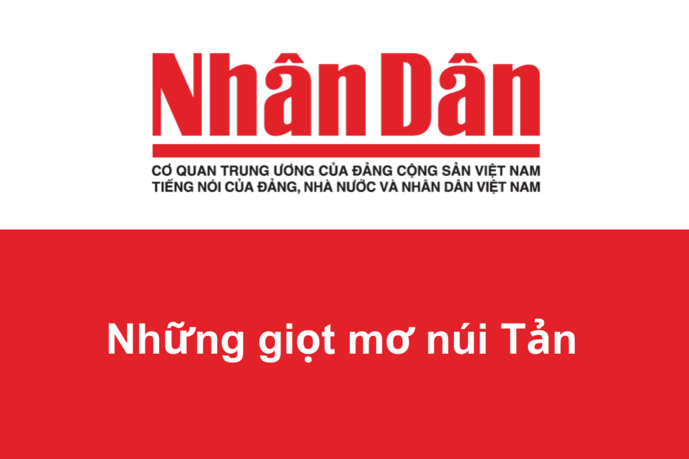 nổ hũ an toàn Vũng Tàu nạp tiền